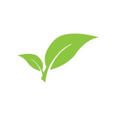 leaf logo