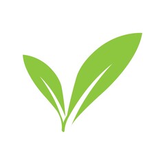 leaf logo