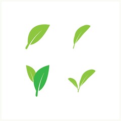 leaf logo