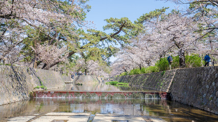 兵庫県 西宮市 さくら夙川