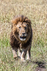 africa safari kenya and tanzania