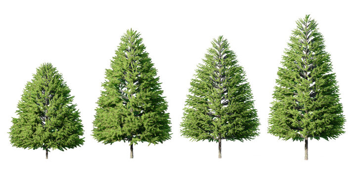 set of 3D christmas green trees isolated on white background
