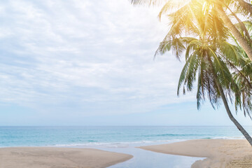 Fototapeta na wymiar tropical palms tree at summer beach with blue sky and sun light.