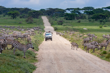 africa safari kenya and tanzania
