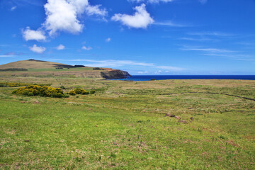 Rapa Nui. The statue Moai in Ahu Tongariki on Easter Island, Chile