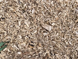 close up dry sawdust texture