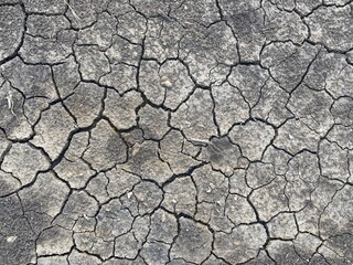 dry cracked soil texture background