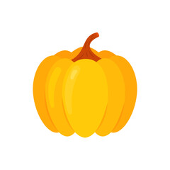 Pumpkin isolated on white background.