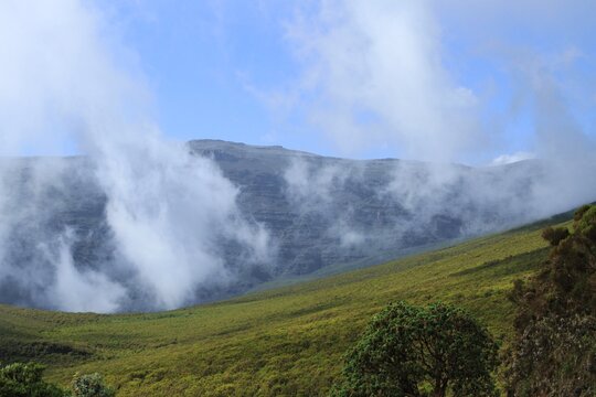 landscape scenery of Harenna Forest near Bale Mountains national Park