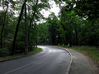 Fototapeta na wymiar Nature landscape, road in the forest 