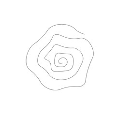 Rose flower on white background design. Vector illustration