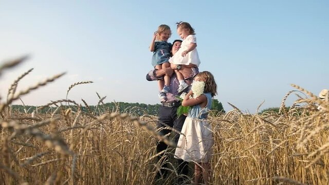 happy father walks through wheat field with three daughters. man holds girls on  shoulders and children laugh. Walk through field in summer with family and children. outdoor recreation in the field