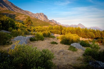 Morning view to beautiful landscape of Croatia. Summer morning with trees and mountains.