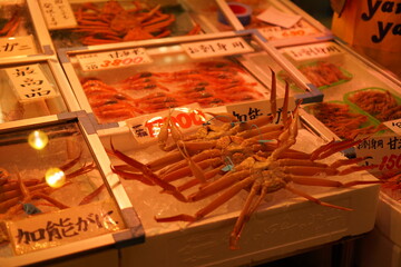 Fish market at Kanazawa, Ishikawa, Japan, traditional Japan