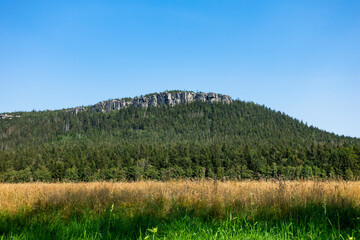 Góra wzgórze pagórek pole łąka las
