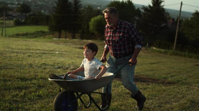 Video of grandfather driving his grandson in wheelbarrows at sunset. Shot with RED helium camera in 8K.