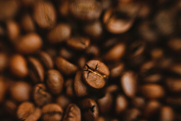 Obraz na płótnie Canvas Coffee bean background. Dark-colored roasted coffee beans.