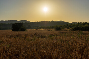 Sunrise along the Camino de Santiago and via Augusta de Castellon