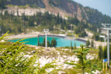 Beautiful lake from Whistler Mountain in summer season, Canada