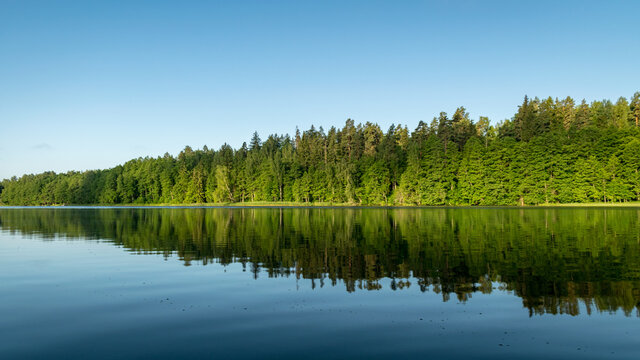mirror image on the lake, green forest by the lake in reflection in the blue water, beauty in nature
