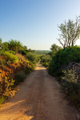 Sunrise along the Camino de Santiago and via Augusta de Castellon