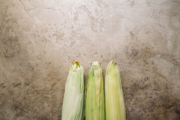 Top view of fresh sweet corn cob with copy space on concrete textured background