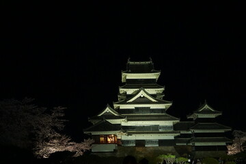 SAKURA, Cherry Blossoms at night time in Matsumoto castle, Nagano, Japan.