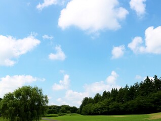 夏　緑と青空　爽やか　風景
