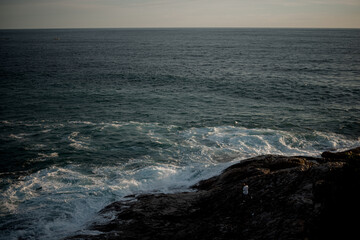 waves crashing on rocks