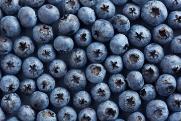 Fresh blueberry background