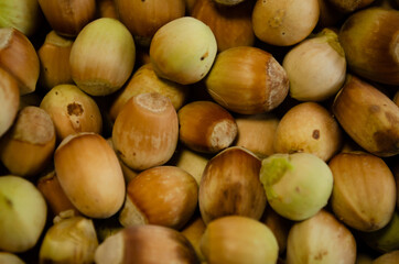 Fototapeta premium hazelnuts background, fresh nuts closeup