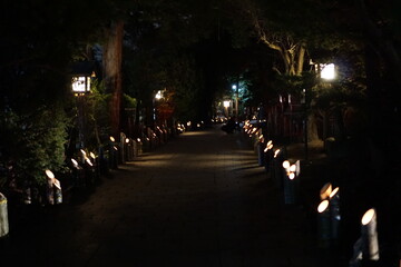Fototapeta na wymiar Night view of beautiful Japanese festival and bamboo light