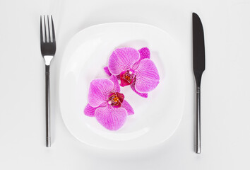orchid phalaenopsis flower on a wite plate on a white background