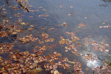 Beautiful autumn landscape in Northern Alps of Japan, Otari, Nagano.