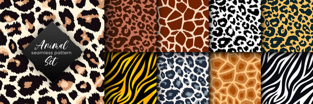 Animal Skin Patterns Images – Browse 252,705 Stock Photos, Vectors, and  Video | Adobe Stock