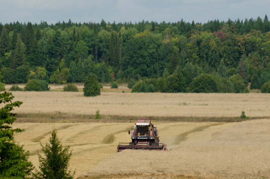 Harvester on the field cleaning