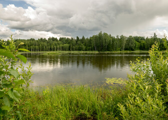summer landscape by the lake, trees and cumulus clouds reflect in the lake water, shore overgrown with reeds, summer nature