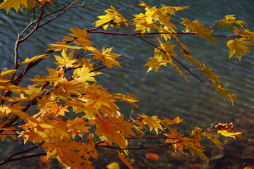 Beautiful autumn landscape in Northern Alps of Japan, Otari, Nagano