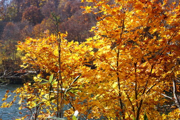 Beautiful autumn landscape in Northern Alps of Japan, Otari, Nagano