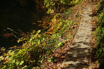 Beautiful autumn landscape in Northern Alps of Japan, Otari, Nagano