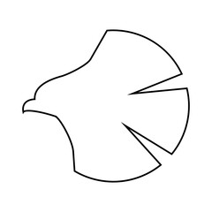 Eagle Icon Illustration Vector art eagle logo design.