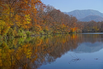 Fototapeta na wymiar Beautiful lake reflection in autumn landscape at Northern Alps of Japan, Otari, Nagano