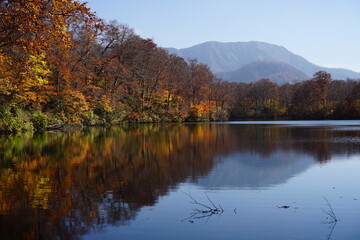 Beautiful lake reflection in autumn landscape at Northern Alps of Japan, Otari, Nagano