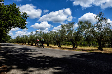 Fototapeta premium bike ride in the park