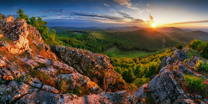 Forest and mountain at sunset - landscape panorama