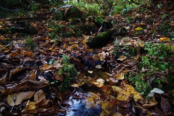 Beautiful autumn landscape in Northern Alps of Japan, Otari, Nagano