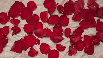 rose petals on a crumpled paper background, top view