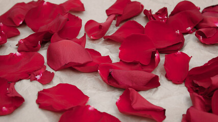 rose petals on a crumpled paper background, side view