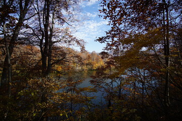 Beautiful autumn landscape in Northern Alps of Japan, Otari, Nagano