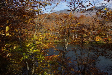 Beautiful autumn landscape in Northern Alps of Japan, Otari, Nagano.
